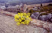 Крепость Паламиди