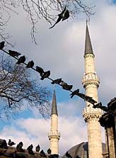 Голуби у мечети Эйюп-султана