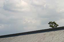 Крыша храма